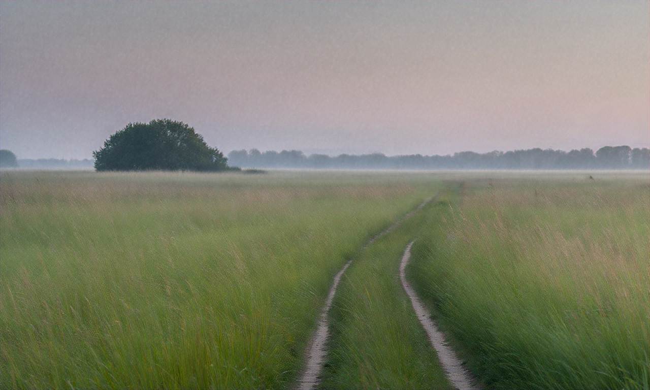 Szlaki biebrzański park narodowy